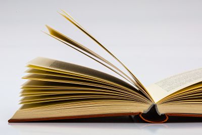 Image of a book.